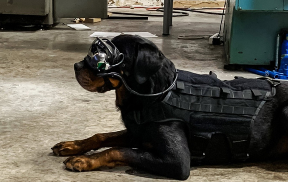 Augmented Reality for the US Military Dogs